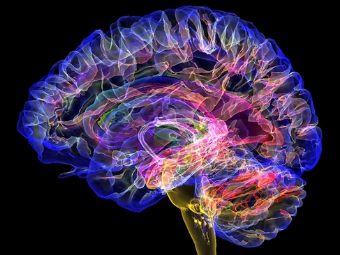 狂操空姐网大脑植入物有助于严重头部损伤恢复
